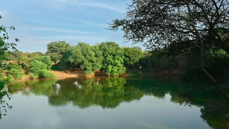 Outside View Of the Kesari Bagh